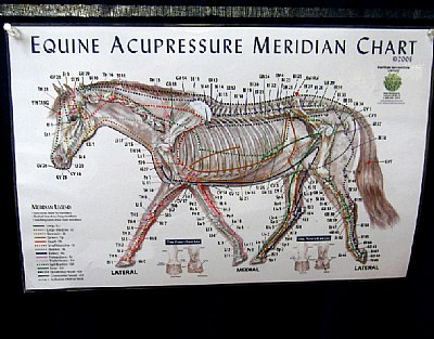 Equine Sign