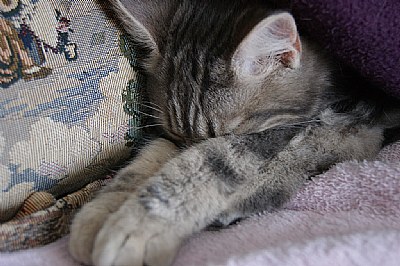 Time To Sleep