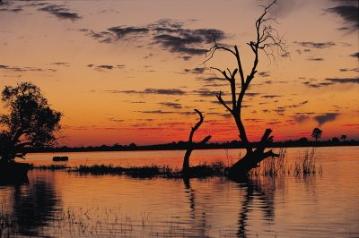 Chobe river