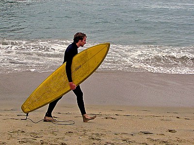 Surfer