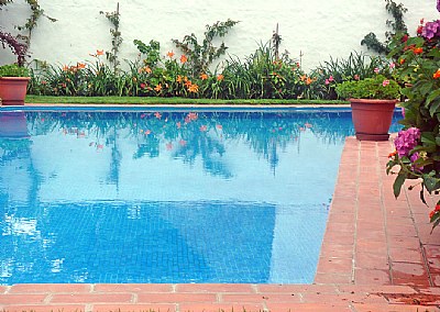 Pool, Flowers & Reflections