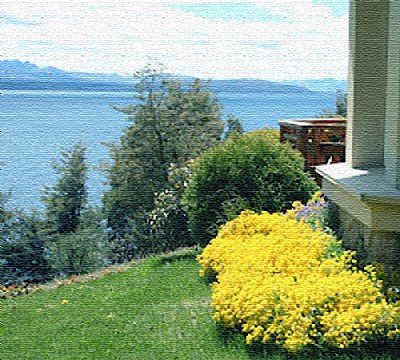 Flowers & Lake