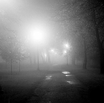 fog park