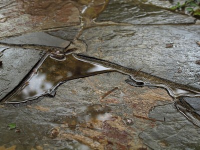 Wet Path