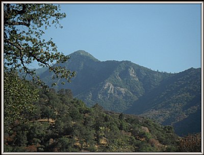 Sequoia National Park