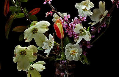 what'sbloomin' now