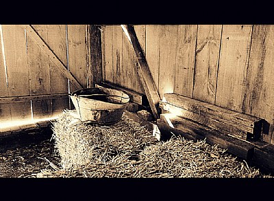 A Bucket in the Barn