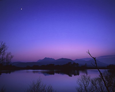 Night Flight To Venus