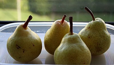 Pears