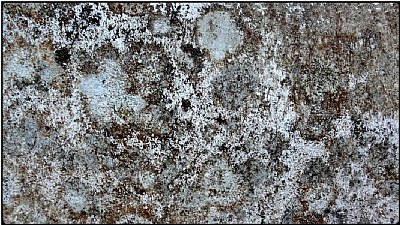 wall palimpsest 2