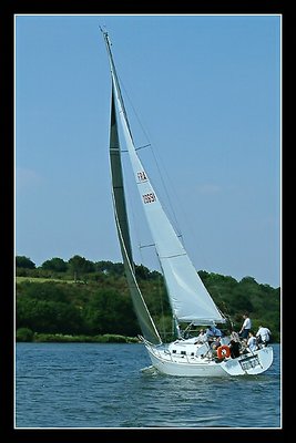 regatta II