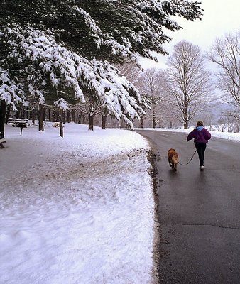 A walk in the park