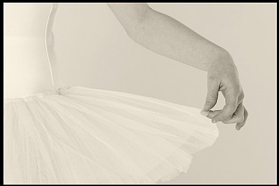 Elegance 3