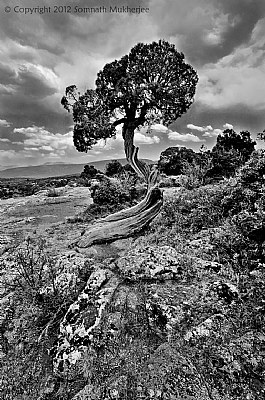 The Crooked in Monochrome | Black Canyon of the Gunnison National Park, CO | May 2012