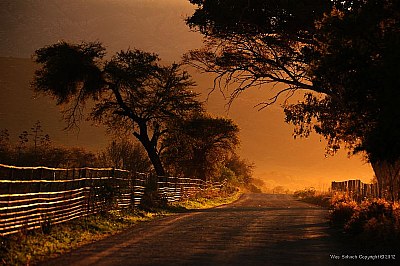 Early Morning Dirt Road