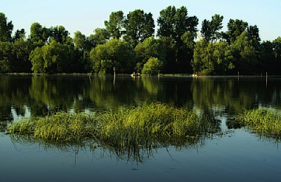 Morning on the Danube I