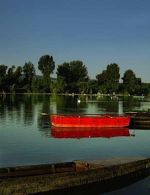 Morning on the Rive