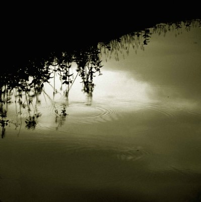 lakeshore