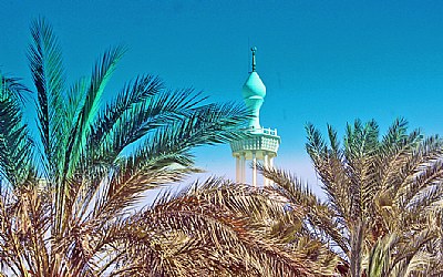 Palms & Mosque