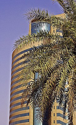 Palms & Building