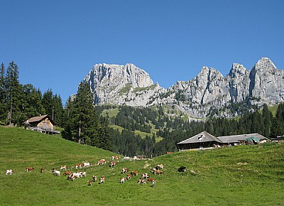 Alpage en Suisse