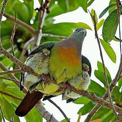 mom's care...