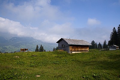 Farms Of Switzerland