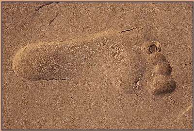 footprint