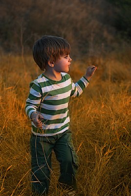 Child in grass
