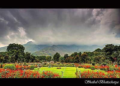 Chashmeshahi gardens, Kashmir