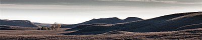 prairie panorama