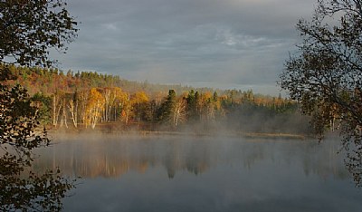 Misty Morning