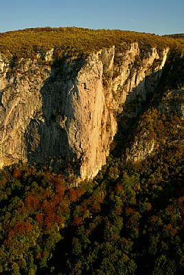 Autumn in the canyon