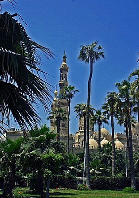 Palms & Mosque