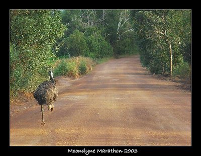 Moondyne Marathon