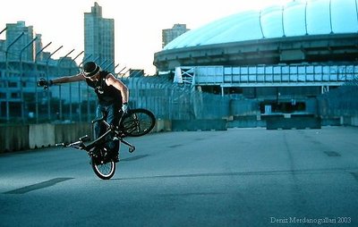 riding into the light