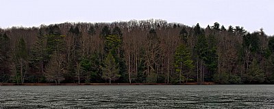 Along the lake