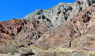 Mountain  &  Cactus