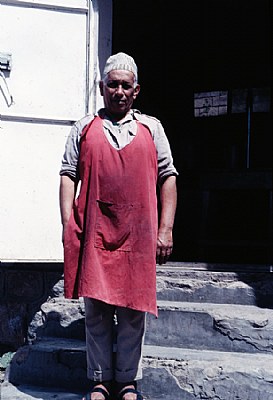 Taiz 1986