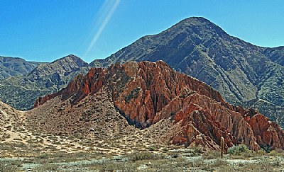 Cactus & Mountain