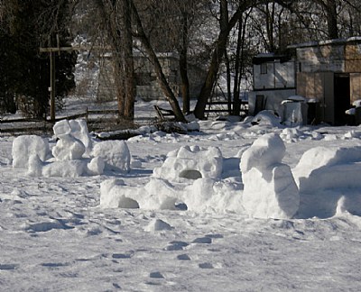 Snow Critters