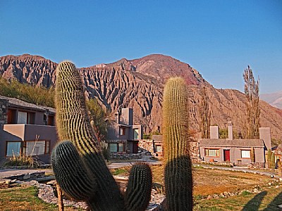 Giant Cactus & Village