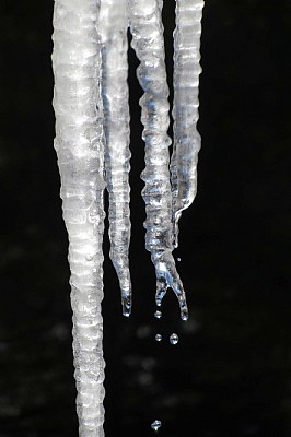 Icicles and water droplet