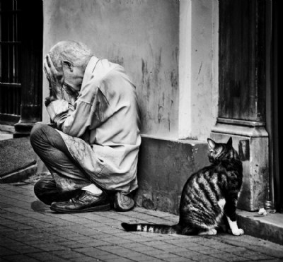Humanity in a cat's eyes.