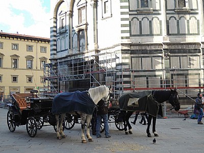 Tourist Carriage