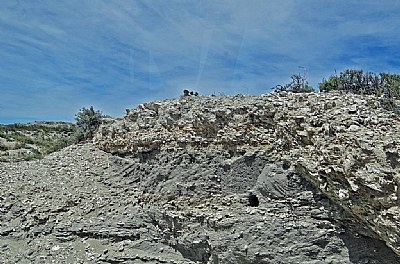 Patagonian Geology