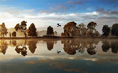 Morning Flight