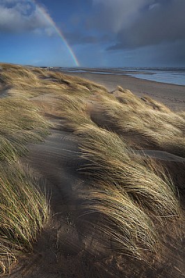 Camber Sands. Sunlight and sandstorms.