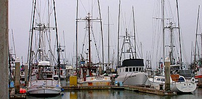 Fishing & Fog Eureka 