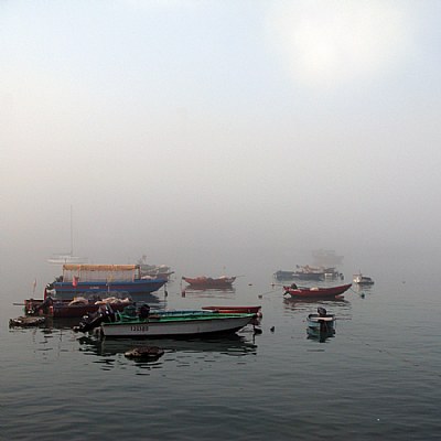 misty harbour